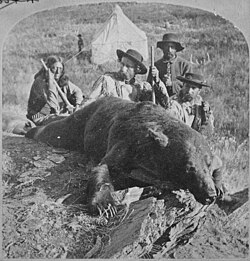 "Our First Grizzly, killed by Gen. Custer and Col. Ludlow." By Illingworth, 1874, during Black Hills Expedition (Left to right: Bloody Knife, George Armstrong Custer, Private John Noonan, and Captain William Ludlow)