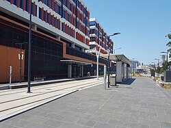 Honeysuckle Station, part of the Newcastle Light Rail, in front of new mixed-use urban developments