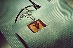 Cockroaches in research: Periplaneta americana in an electrophysiology experiment