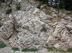 Mississippian marble in Big Cottonwood Canyon, Wasatch Mountains, Utah