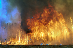 A controlled burn in the Northwest Territories, showing variations in the flame color due to temperature. The hottest parts near the ground appear yellowish-white, while the cooler upper parts appear red.
