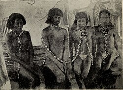 A photo of enslaved Amazon Natives from the 1912 book "The Putumayo, the Devil's Paradise"