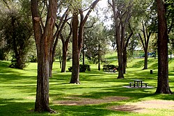 Roosevelt Park is a historic park in central Albuquerque.