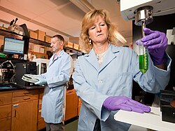 At the ARS Natural Products Utilization Research Unit in Oxford, MS., a support scientist (r) extracts plant pigments that will be analyzed by a plant physiologist (l) using an HPLC system.