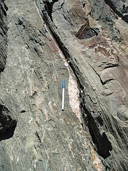 Boudinaged quartz vein (with strain fringe) showing dextral shear sense. Starlight Pit, Fortnum Gold Mine, Western Australia.