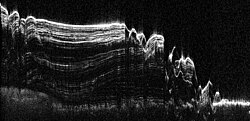 Radargram of north pole layered deposits from SHARAD shallow ground-penetrating radar on Mars Reconnaissance Orbiter.