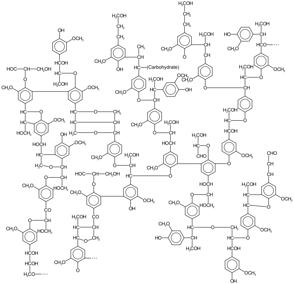 An approximate structure of lignin, which constitutes about 30% of plant matter. It is formed by radical reactions.