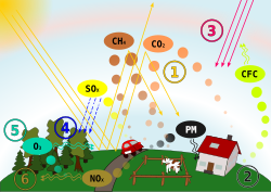 This shows the process of the air pollution being released into the atmosphere and the areas that will be affected.