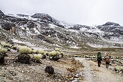Valle de Mifafí, Mérida State