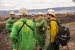 U.S. and Australian firefighters discussing tactics at the Peat Fire near Cape Conran Coastal Park, Victoria. The U.S. firefighter is in the distinctive yellow and green Nomex uniform.