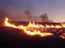 Lightning-sparked wildfires are frequent occurrences on shrublands and grasslands in Nevada.