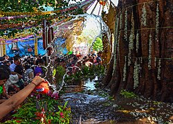 Burmese Buddhist devotees traditionally water Bodhi trees to mark Vesak.