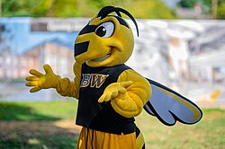 BW's mascot "Stinger"