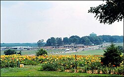 Shady Grove in 1978