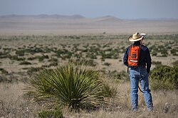 a rangeland management specialist