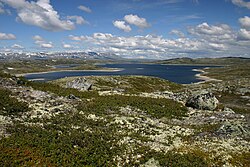 The Hardangervidda plateau in southern Norway is a peneplain formed in the Miocene epoch and then uplifted to its present altitude of 1200 m a.s.l.[14]