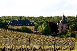 Schloss Vollrads is a castle and a wine estate in the Rheingau wine-growing region in Germany that claims to have been making wine for over 800 years.[92]