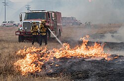 CAL FIRE firefighters battle a hotspot of the Fairview Fire. This technique is known as pump and roll, or mobile attack. It involves a firefighter spraying water while the engine moves behind them.