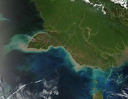 Fires on the island of New Guinea in 2002