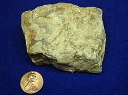Beryllium ore with a U.S. penny for scale