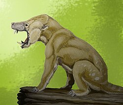 Arctocyon, an arctocyonid