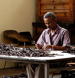 Man sorting Bourbon vanilla (2004)