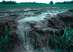 Farmland runoff