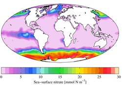 Sea surface nitrate from the World Ocean Atlas