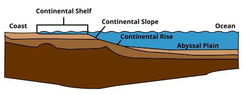 Profile illustrating the shelf, slope and rise