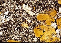Microscope view (long dimension 2 mm) of a thin section of minette from the Colorado Plateau. Magnesium-rich biotite (P, phlogopite) and clinopyroxene (C) phenocrysts in a groundmass of alkali feldspar, pyroxene, and iron-titanium oxides.