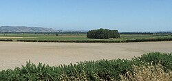 Looking southeast across the Taieri Plain, Otago, New Zealand