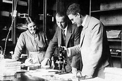 Mimi Johnson (left), Endre Berner (center), Victor Moritz Goldschmidt (right), 1915