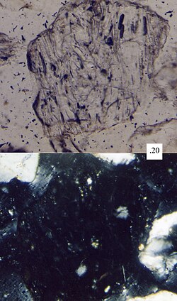 This sand grain made of volcanic glass is isotropic, and thus stays extinct when rotated between polarization filters on a petrographic microscope
