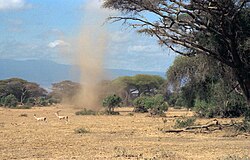 A dust devil seen in Amboseli National Park, Kenya, in 1993