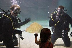 The Greater Cleveland Aquarium