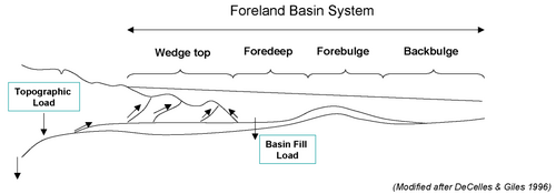 The Foreland Basin System