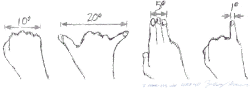 Approximate angles of 10°, 20°, 5°, and 1° for the hand outstretched at arm's length