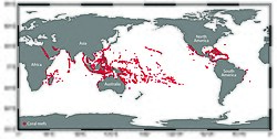 Map of the global distribution of reef-building corals.