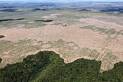 Deforestation of the Amazon rainforest in Brazil's Maranhão state, 2016