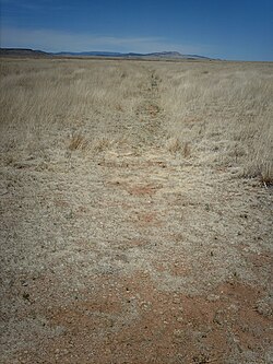 Santa Fe Trail Ruts at Fort Union