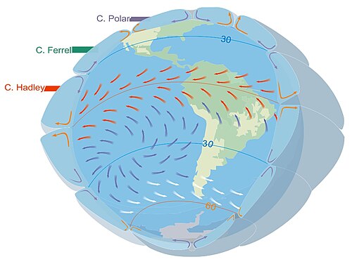 The general atmospheric circulation. Trade winds (red), westerlies (white) and the South Pacific High (blue)[1]