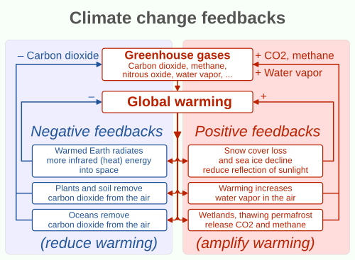 Some effects of climate change can either enhance (positive feedbacks) or weaken (negative feedbacks) global warming.[36][37]