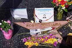 Robin Williams's star with flowers (scattered, potted, and bouquets), photographs, paper, and an award that reads "Brightest Star in the Comedy Galaxy" covering all but his name and the surrounding charcoal terrazzo