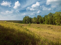 Reclaimed strip mine in Centre County, Pennsylvania