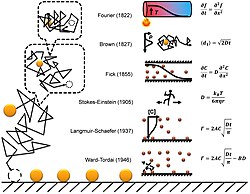 A brief history of the theories on diffusive adsorption.[17]