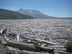 Lakes nearest to Mount St. Helens have been partly covered with fallen trees since the eruption. This photograph was taken in 2012.