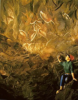 Bird paintings in the cave called "Cave of the Men Eaters"