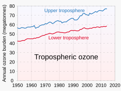 Ozone with an anthropogenic "fingerprint" contributes to global warming and climate change, especially when present in the upper troposphere.[72]
