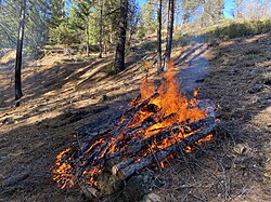 Pile burn
