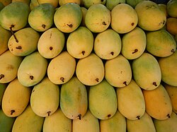 Mangoes from Zambales